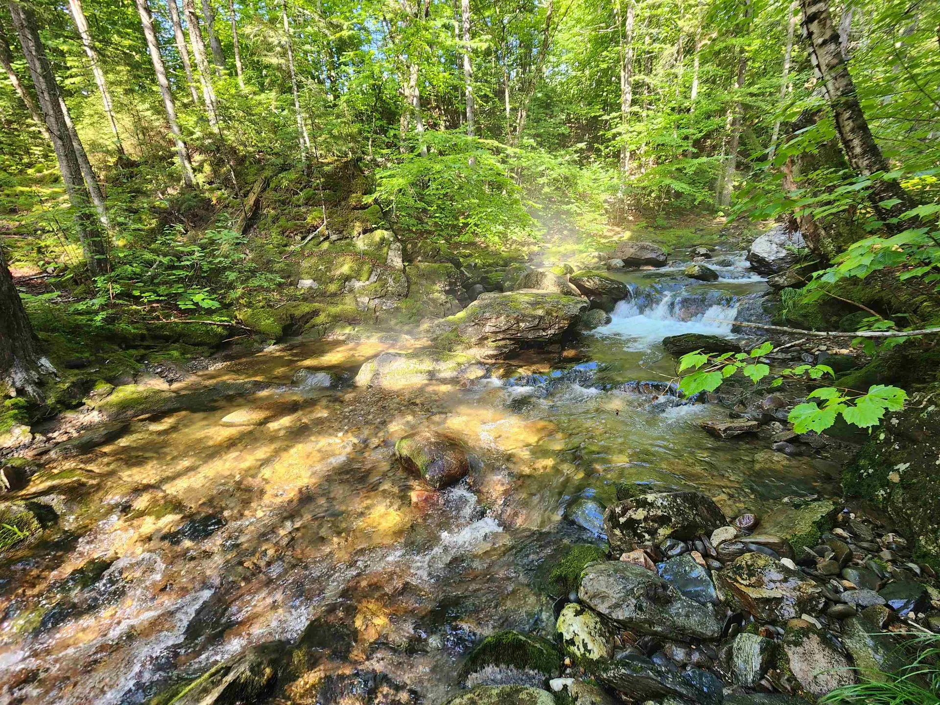 Lot 2 Ginnie Lane Errol NH 03579