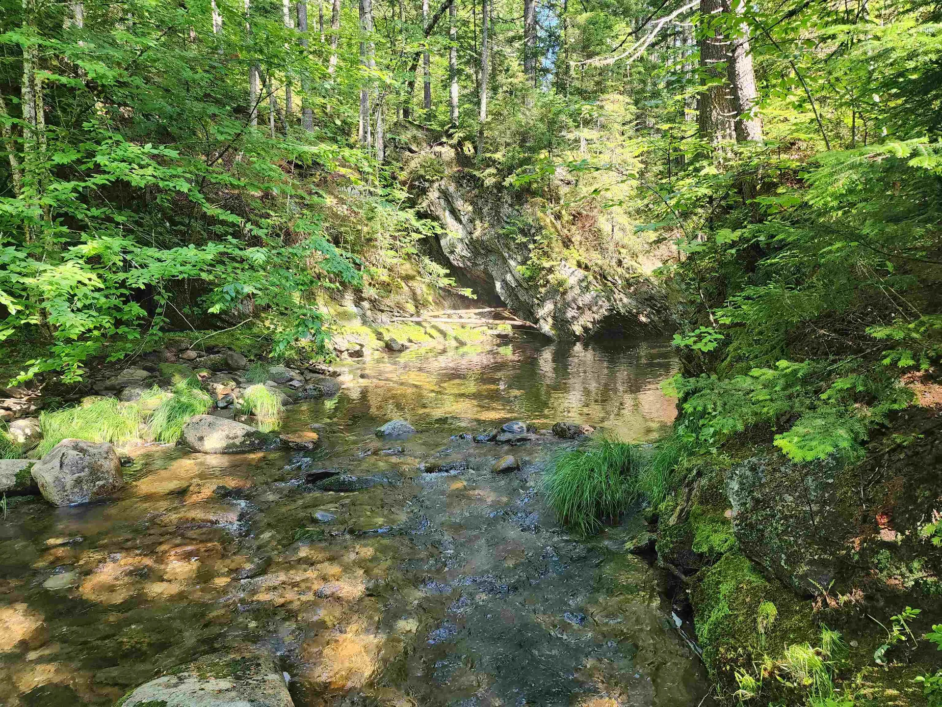 Lot 2 Ginnie Lane Errol NH 03579