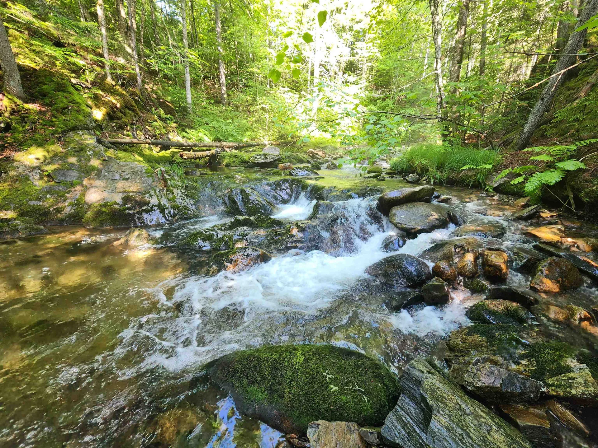 Lot 2 Ginnie Lane Errol NH 03579