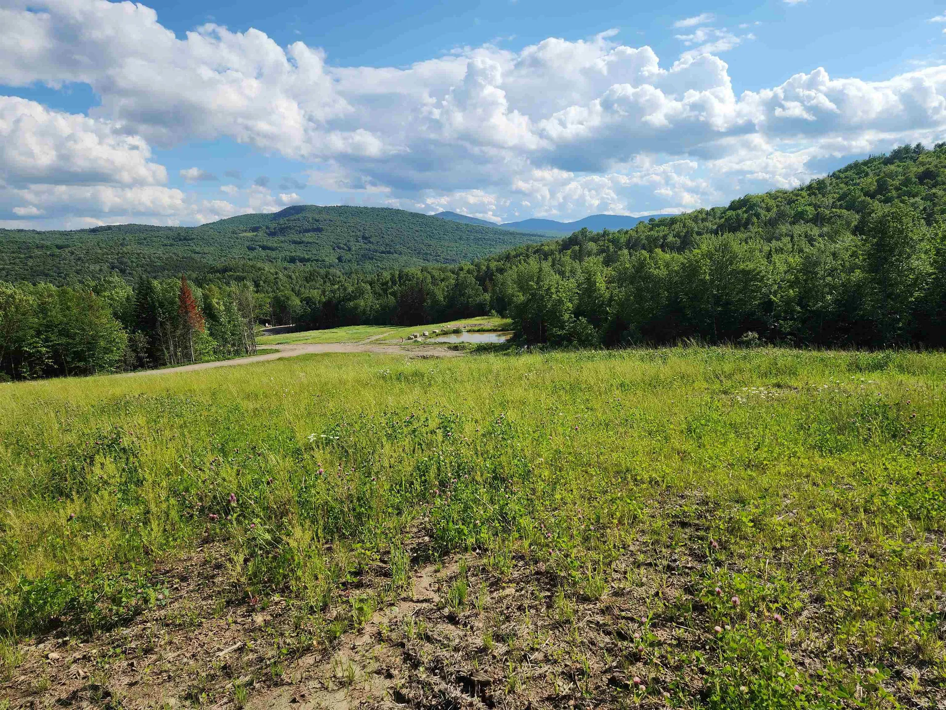 Lot 2 Ginnie Lane Errol NH 03579
