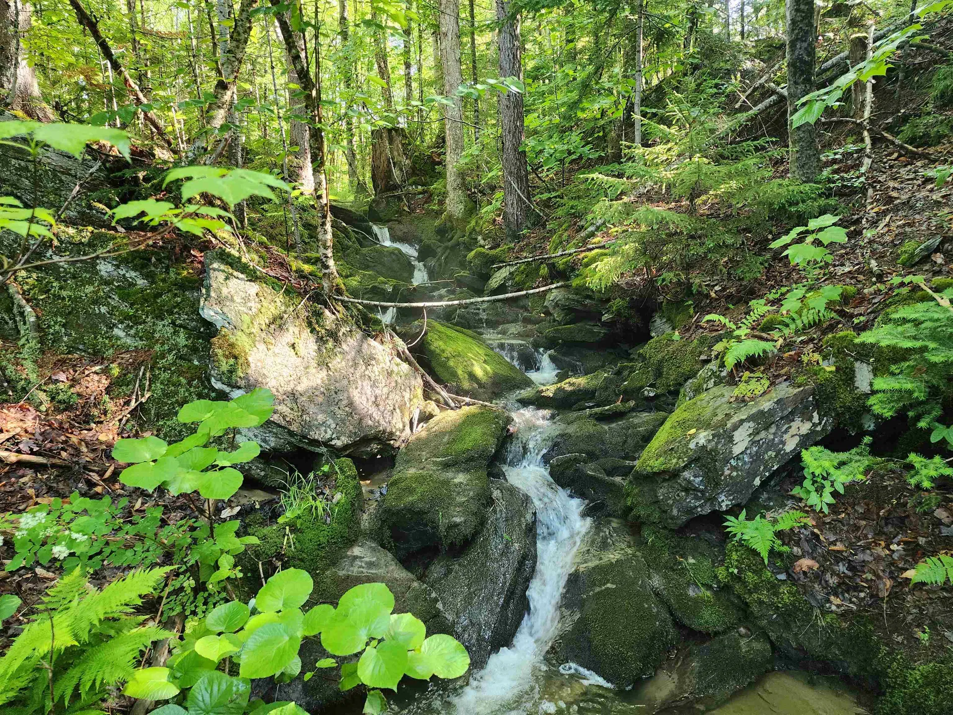 Lot 2 Ginnie Lane Errol NH 03579