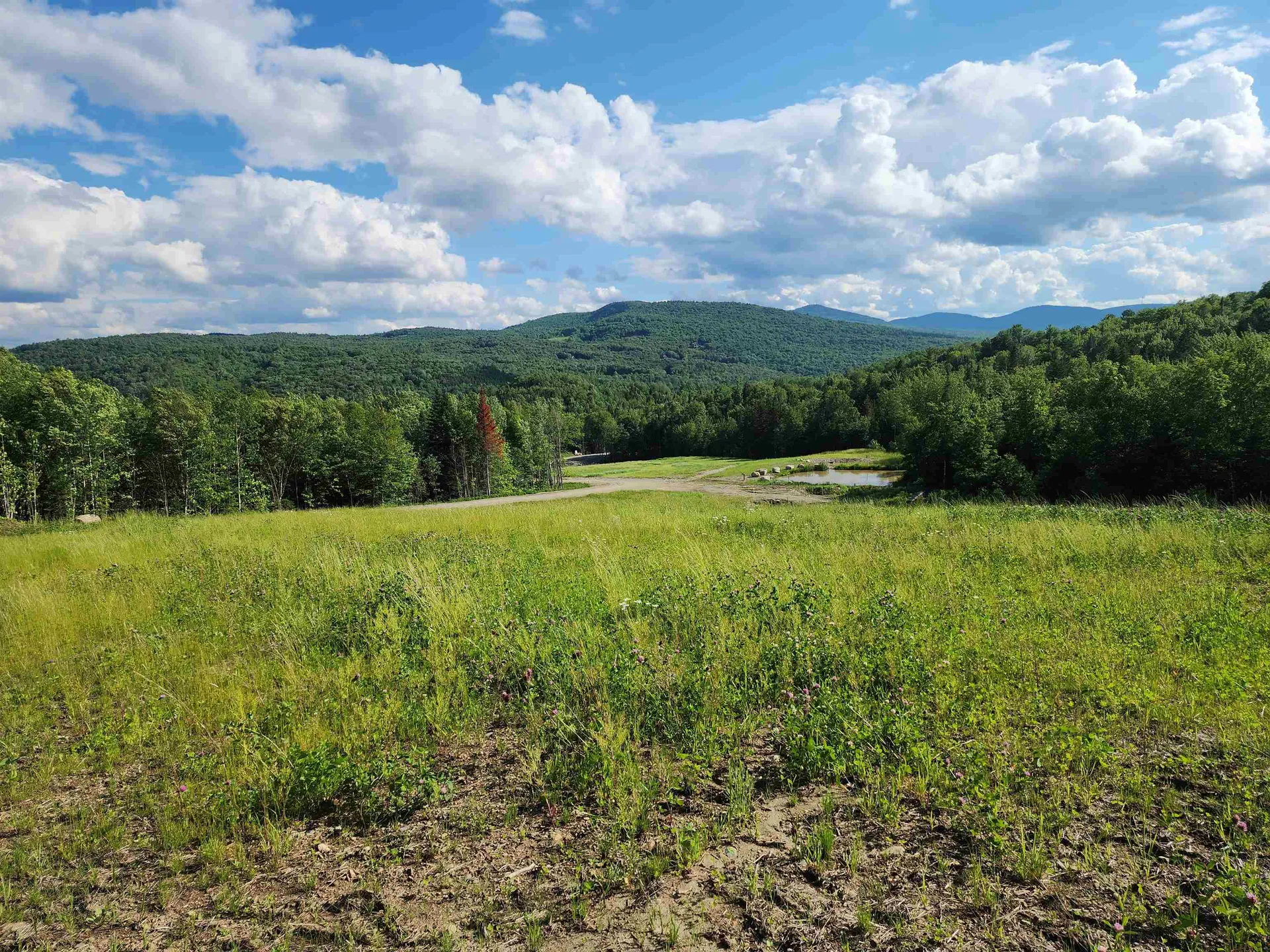 Lot 2 Ginnie Lane Errol NH 03579