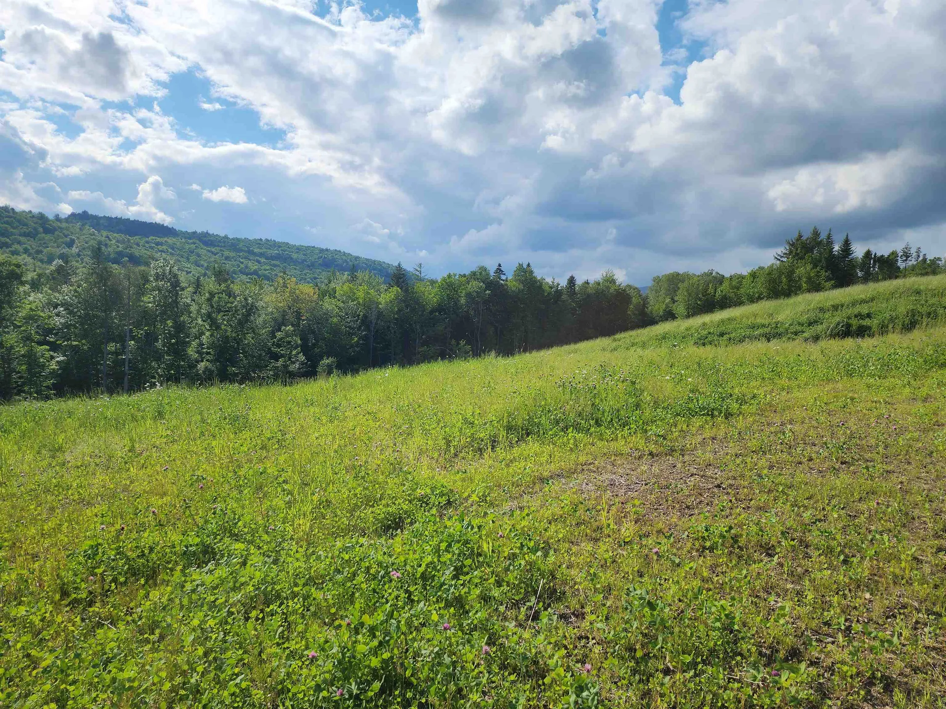 Lot 2 Ginnie Lane Errol NH 03579