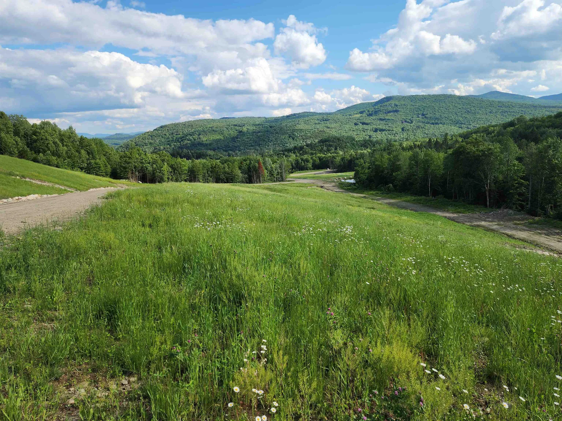 Lot 2 Ginnie Lane Errol NH 03579