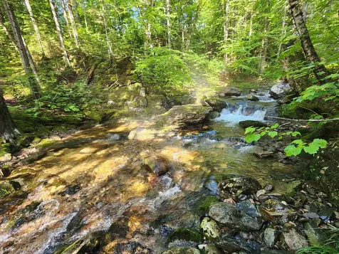 Lot 2 Ginnie Lane Errol NH 03579