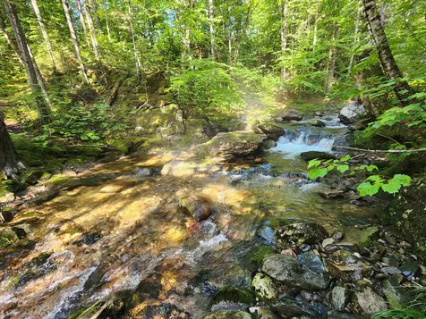 Lot 2 Ginnie Lane Errol NH 03579