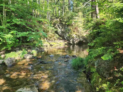 Lot 2 Ginnie Lane Errol NH 03579