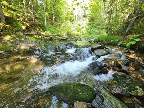 Lot 2 Ginnie Lane Errol NH 03579