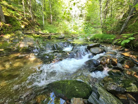 Lot 2 Ginnie Lane Errol NH 03579