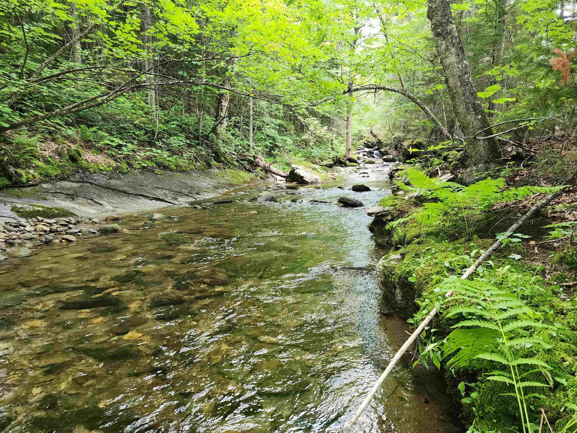 Lot 1 Ginnie Lane Errol NH 03579