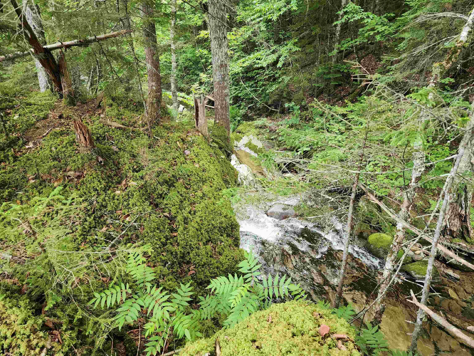 Lot 1 Ginnie Lane Errol NH 03579