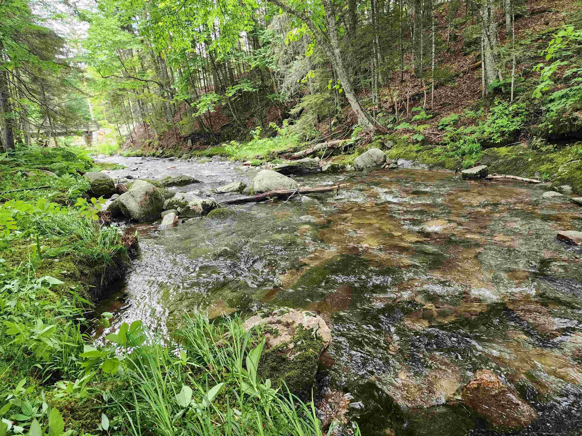 Lot 1 Ginnie Lane Errol NH 03579