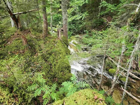 Lot 1 Ginnie Lane Errol NH 03579