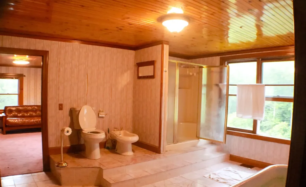 1081 Beaver Meadow Road Roxbury VT 05669