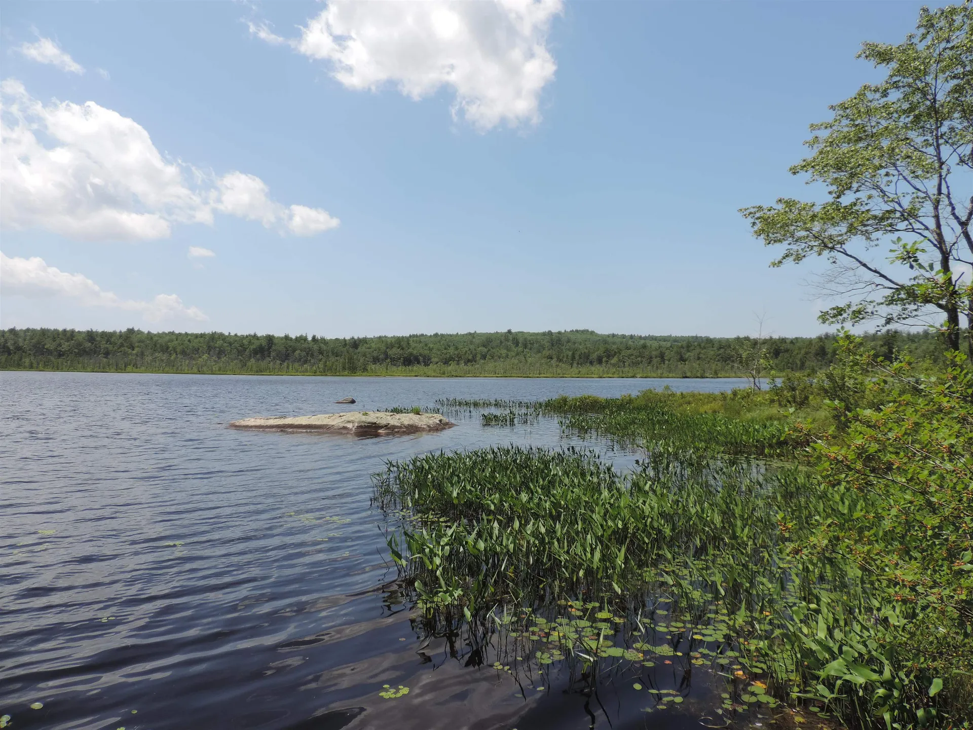 143 Lakeside Drive Fitzwilliam NH 03447