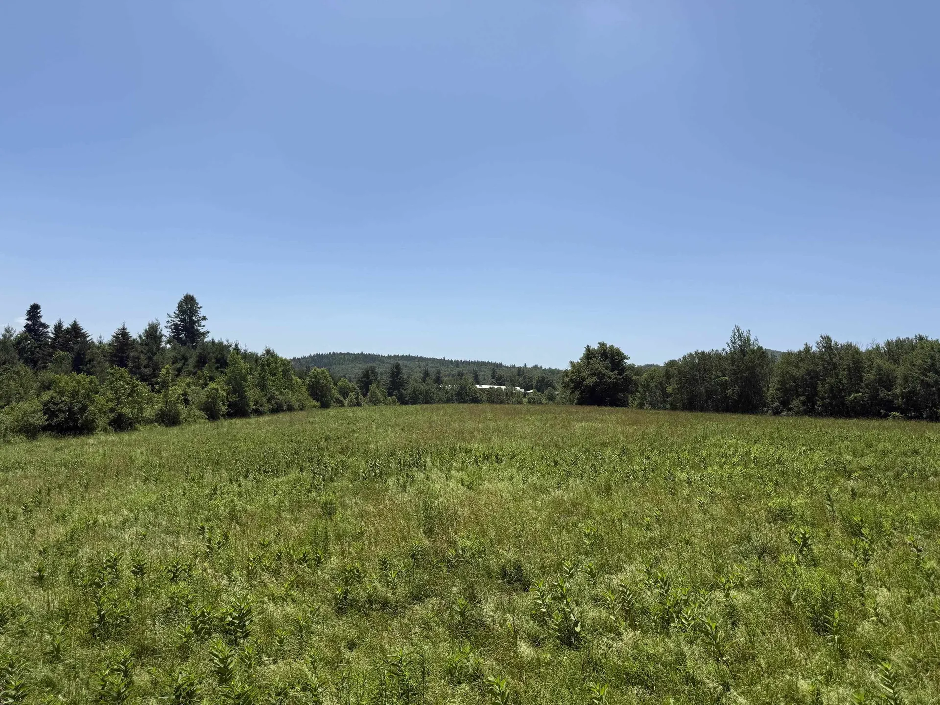 634 Lower Dover Road Marlboro VT 05344