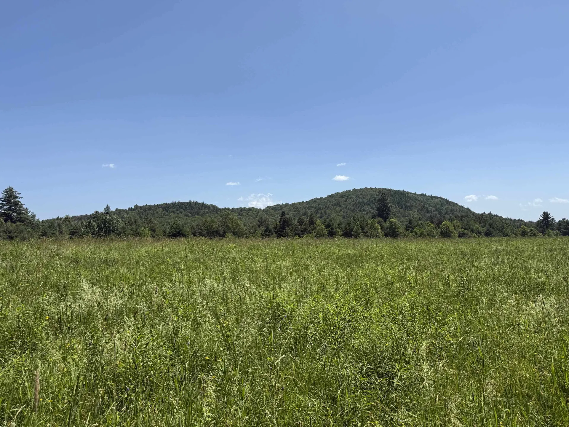 634 Lower Dover Road Marlboro VT 05344