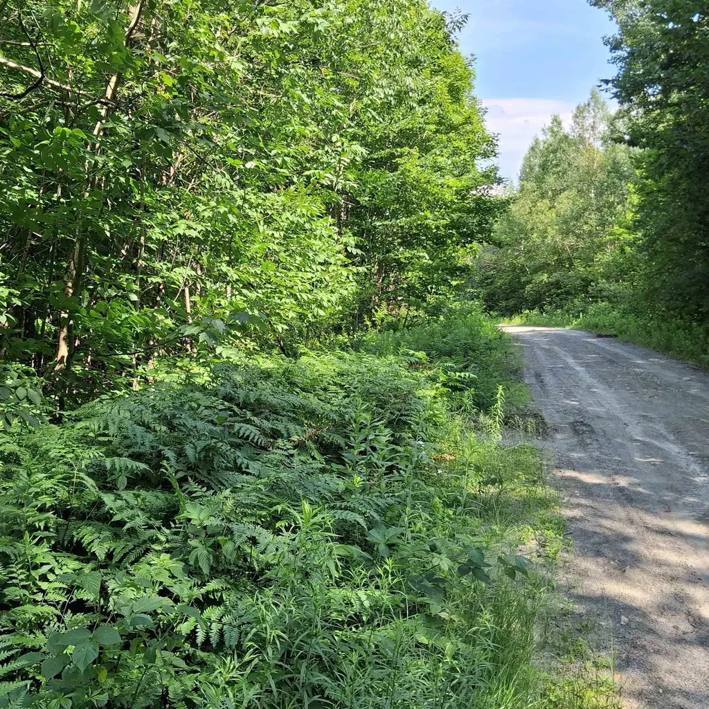 Lot 4 Ballground Road Westfield VT 05874