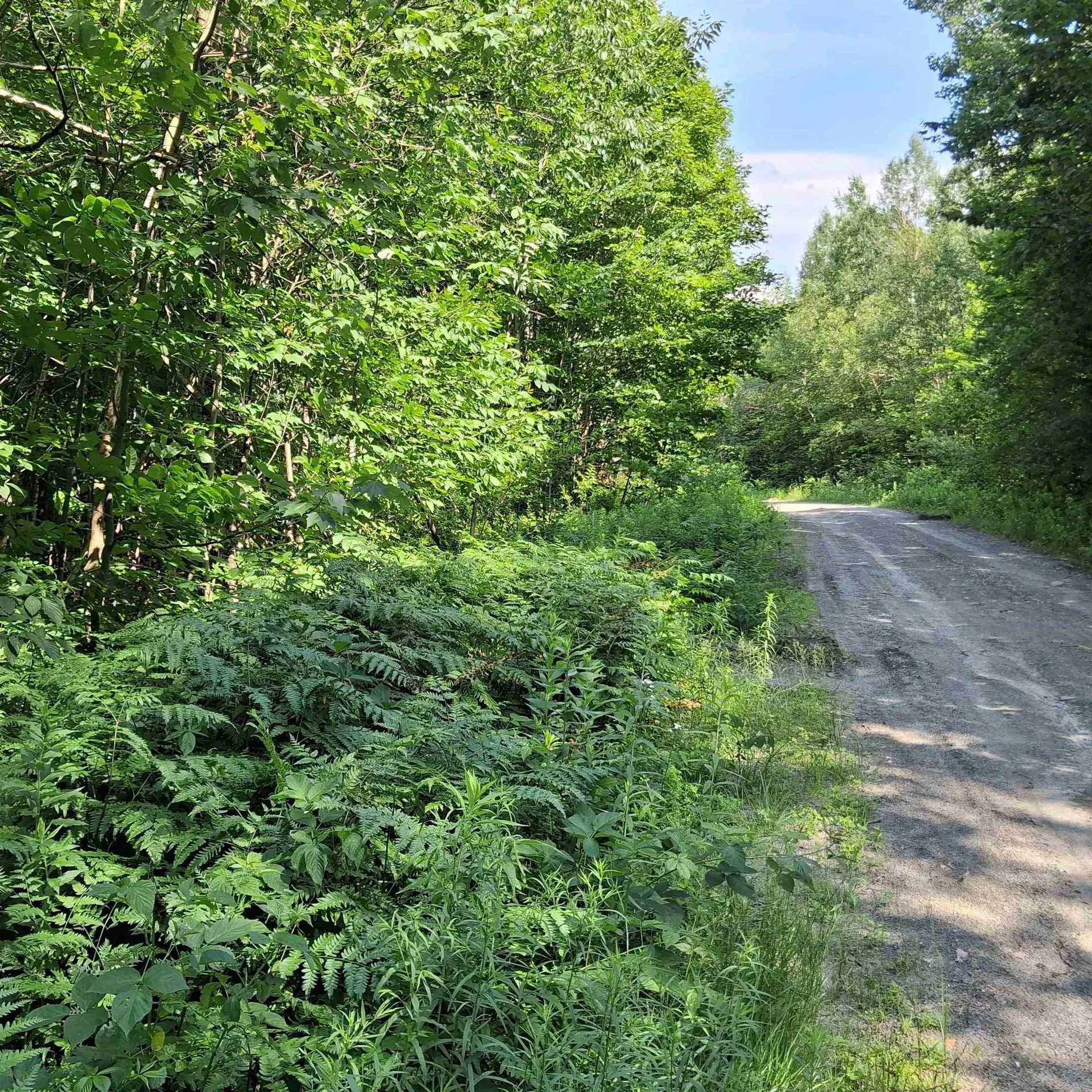 Lot 4 Ballground Road Westfield VT 05874