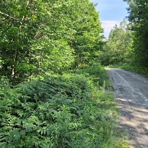 Lot 4 Ballground Road Westfield VT 05874