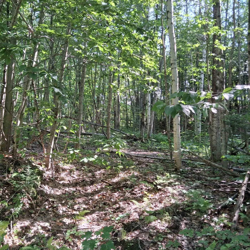 Lot 3 Ballground Road Westfield VT 05874