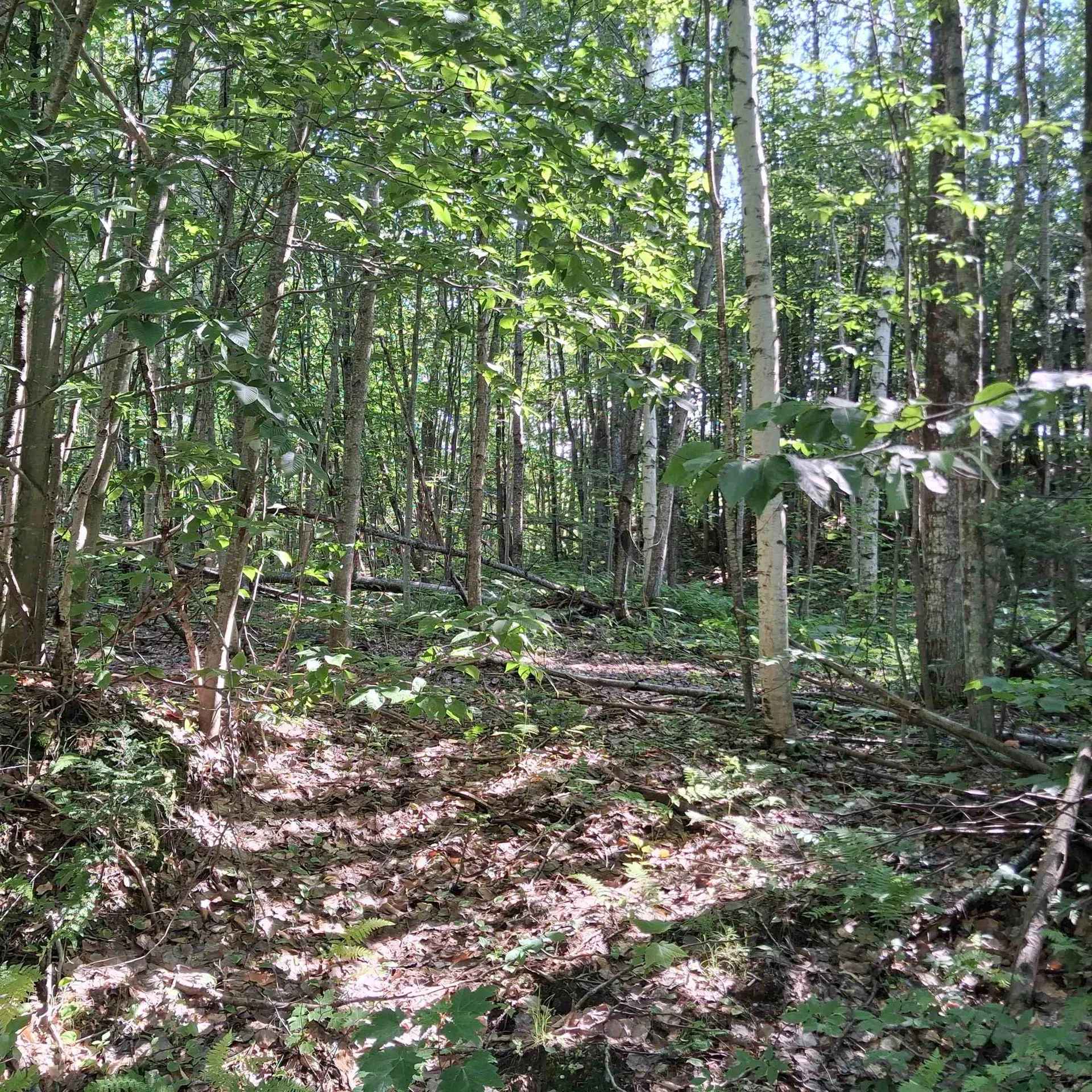 Lot 3 Ballground Road Westfield VT 05874