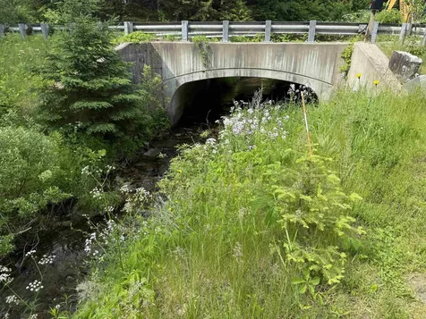 252 Stone Road Ryegate VT 05069