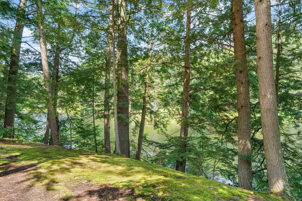 151 New Hampshire Drive Webster NH 03303