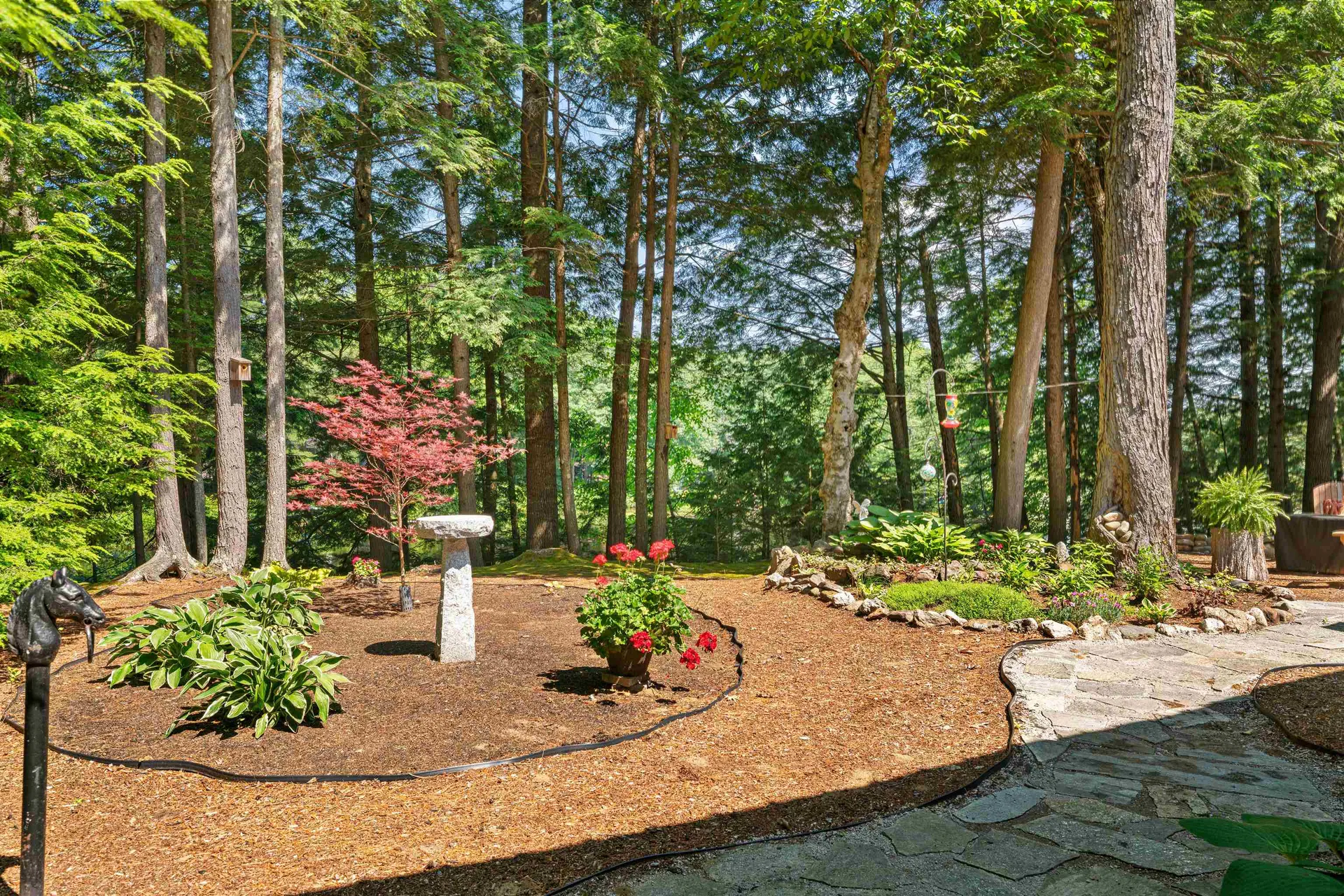 151 New Hampshire Drive Webster NH 03303