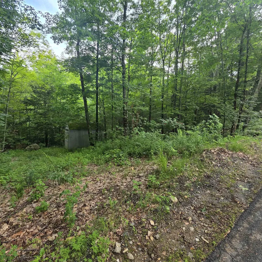 Lot 4b-29-2 Joslin Road Surry NH 03431