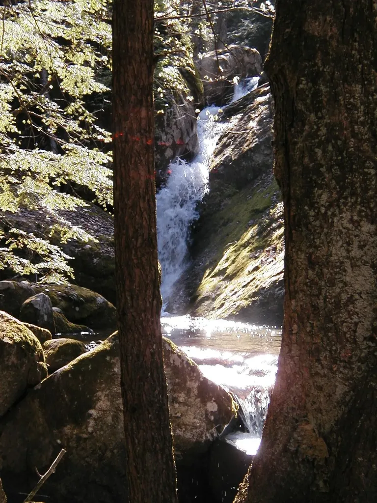 Lot 4b-29-2 Joslin Road Surry NH 03431