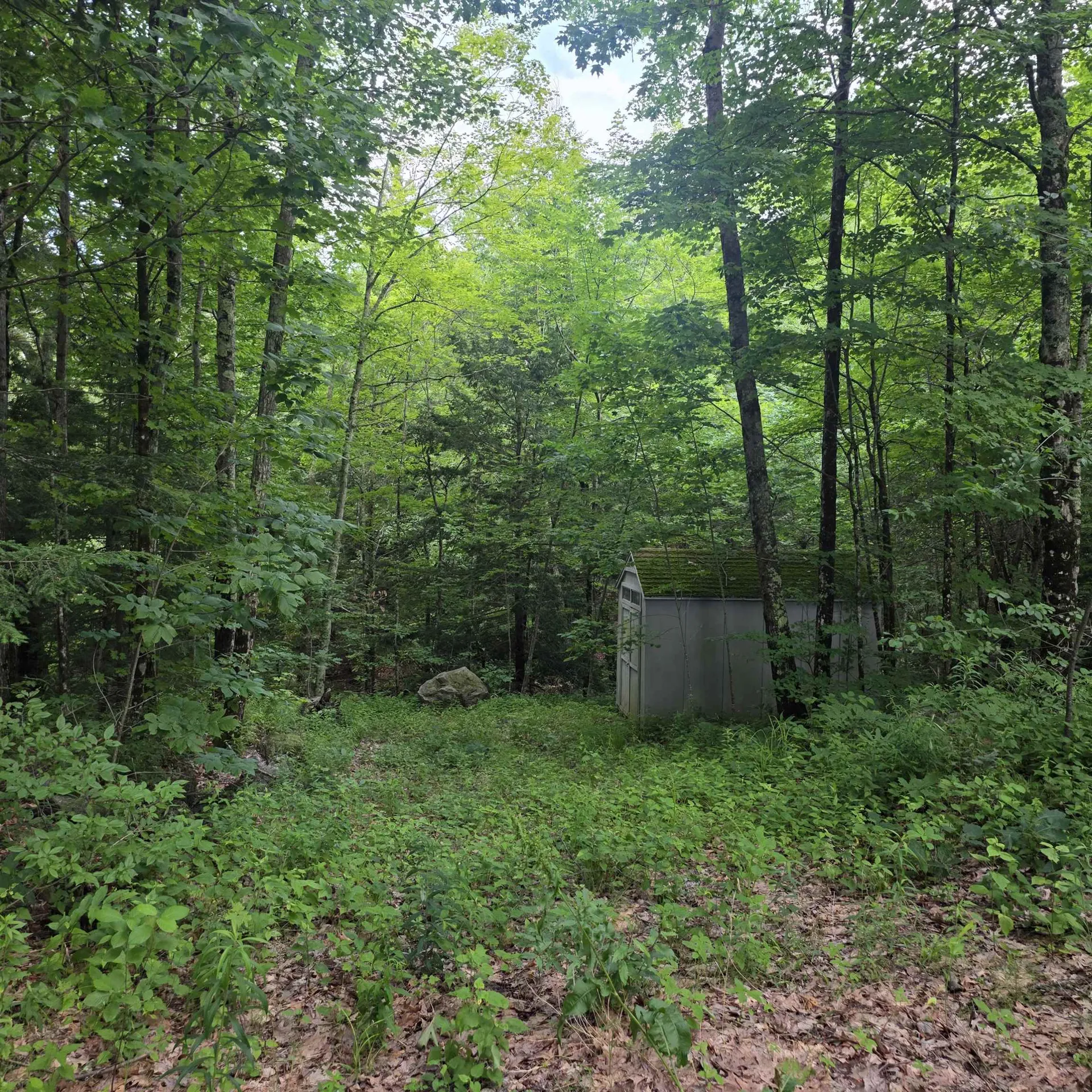 Lot 4b-29-2 Joslin Road Surry NH 03431