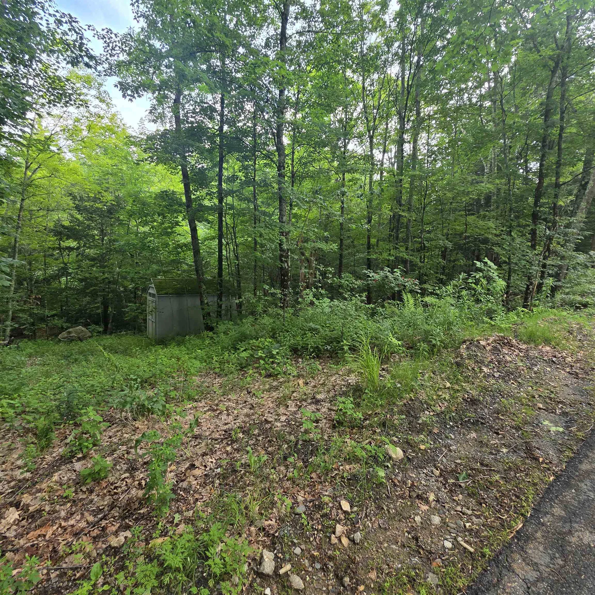 Lot 4b-29-2 Joslin Road Surry NH 03431