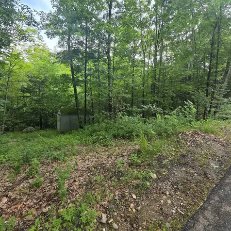 Lot 4b-29-2 Joslin Road Surry NH 03431