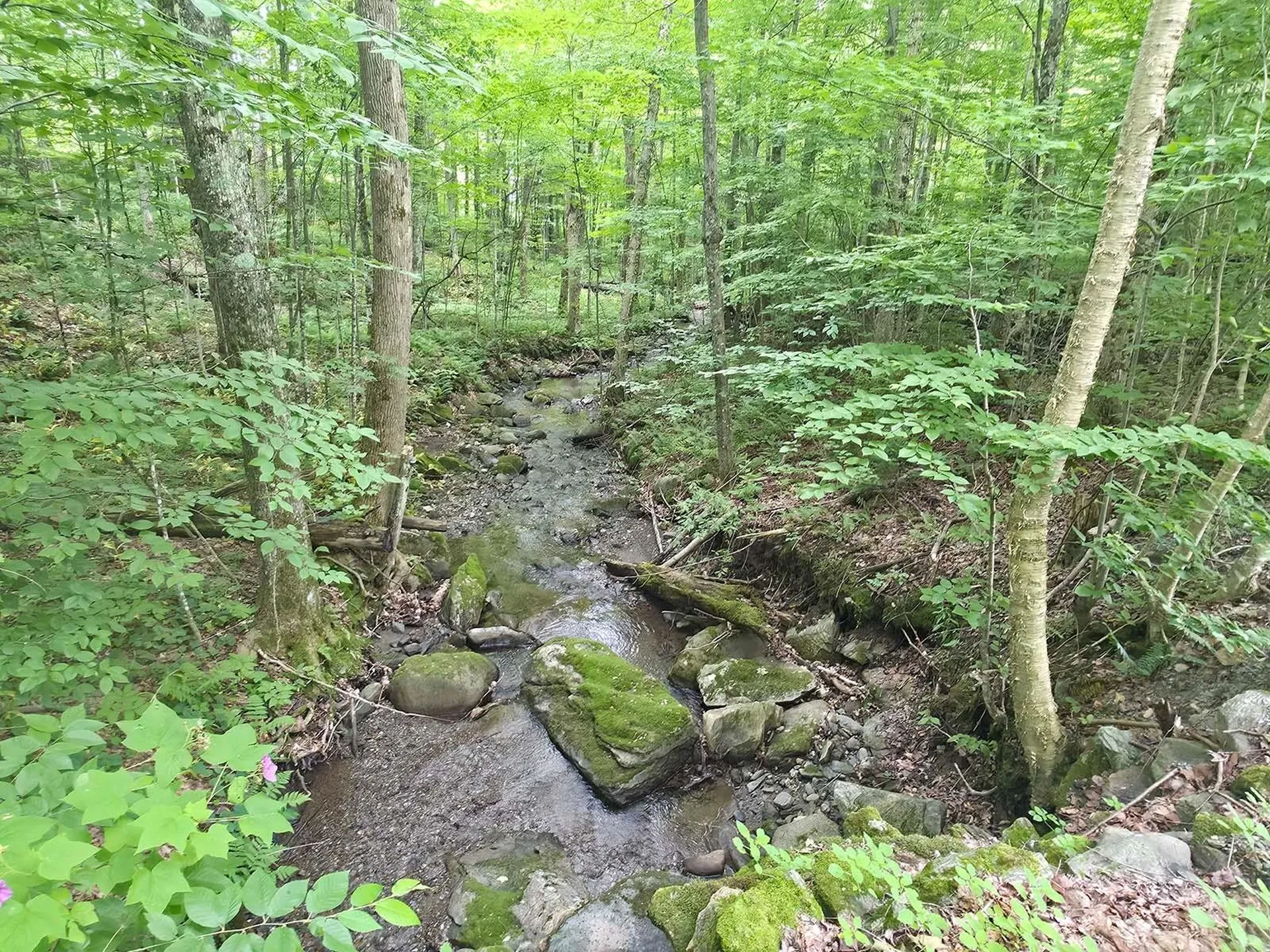 1483 Enosburg Mountain Road Enosburg VT 05450