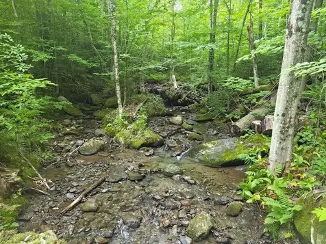 1483 Enosburg Mountain Road Enosburg VT 05450
