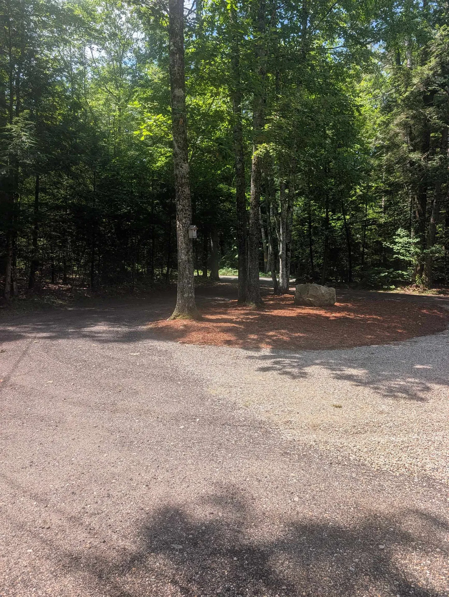 26 Berndorf Avenue Moultonborough NH 03254