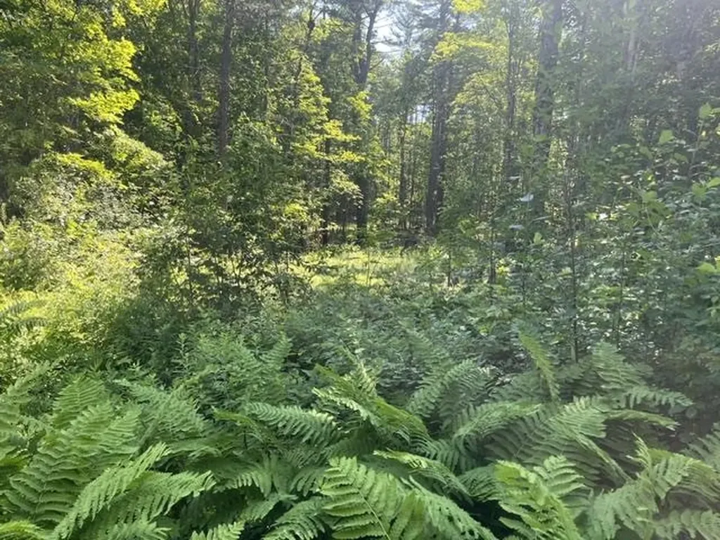 3.3 Bean Road Plainfield NH 03781