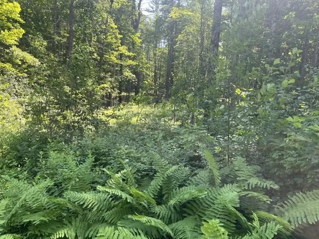 3.3 Bean Road Plainfield NH 03781