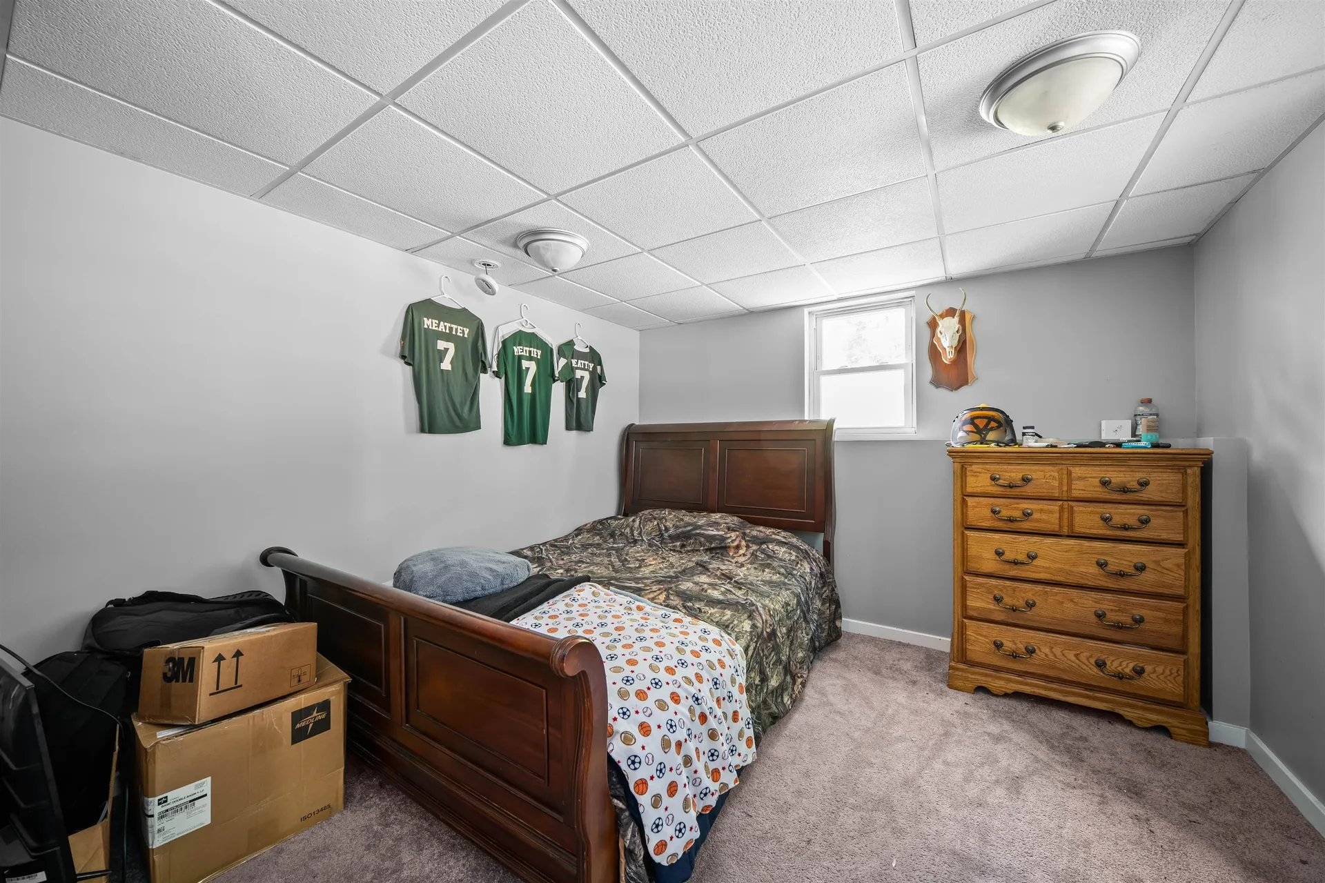 47 Henry Drive Effingham NH 03882