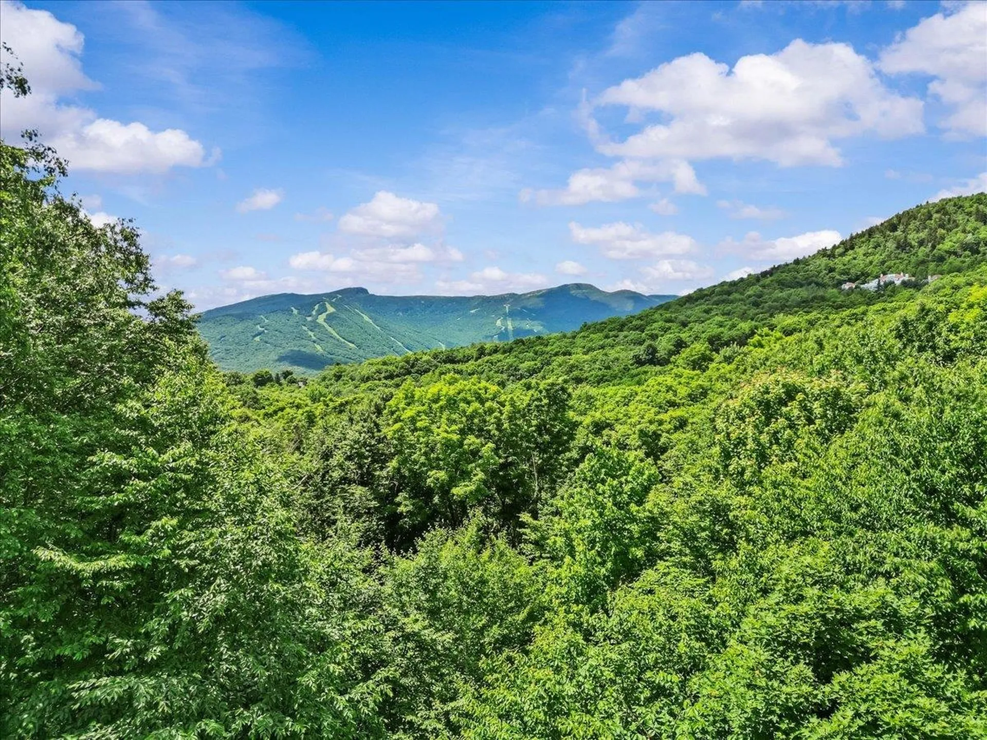 269 Billings Hill Road Stowe VT 05672