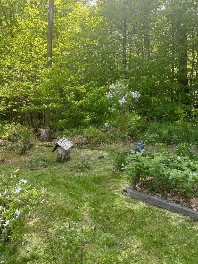 530 Marlow Road Washington NH 03280