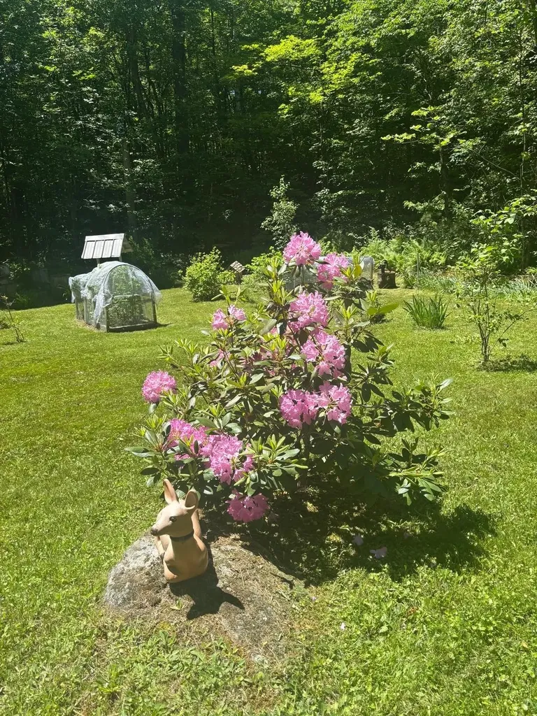 530 Marlow Road Washington NH 03280