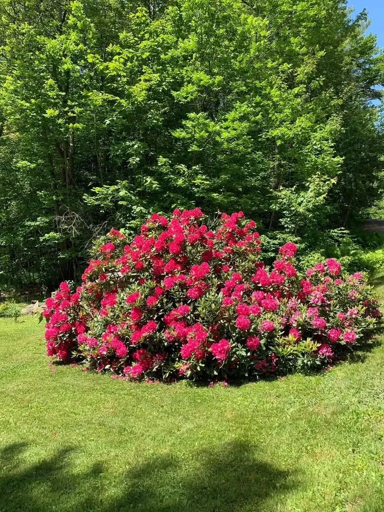 530 Marlow Road Washington NH 03280