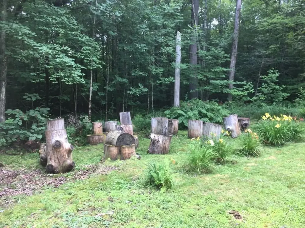 530 Marlow Road Washington NH 03280