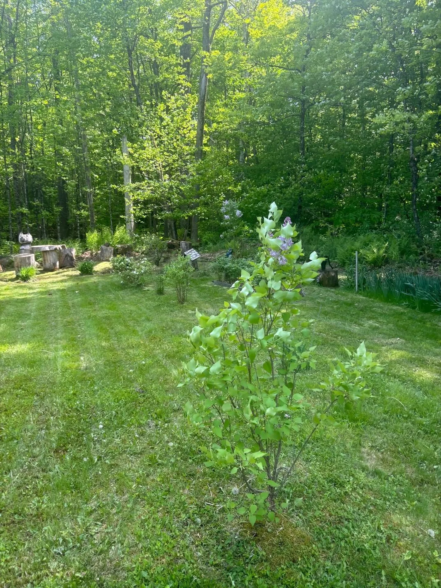 530 Marlow Road Washington NH 03280