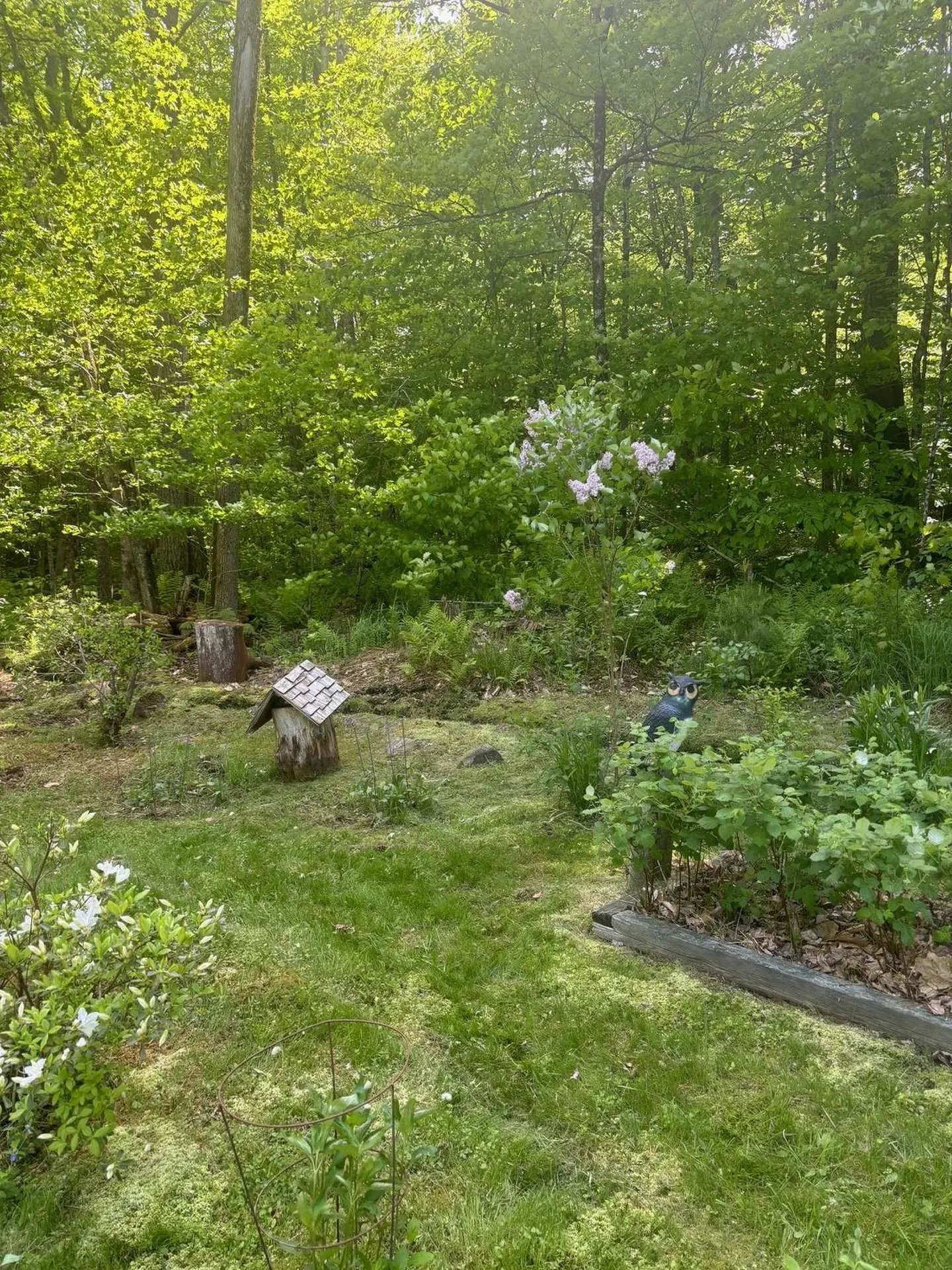 530 Marlow Road Washington NH 03280
