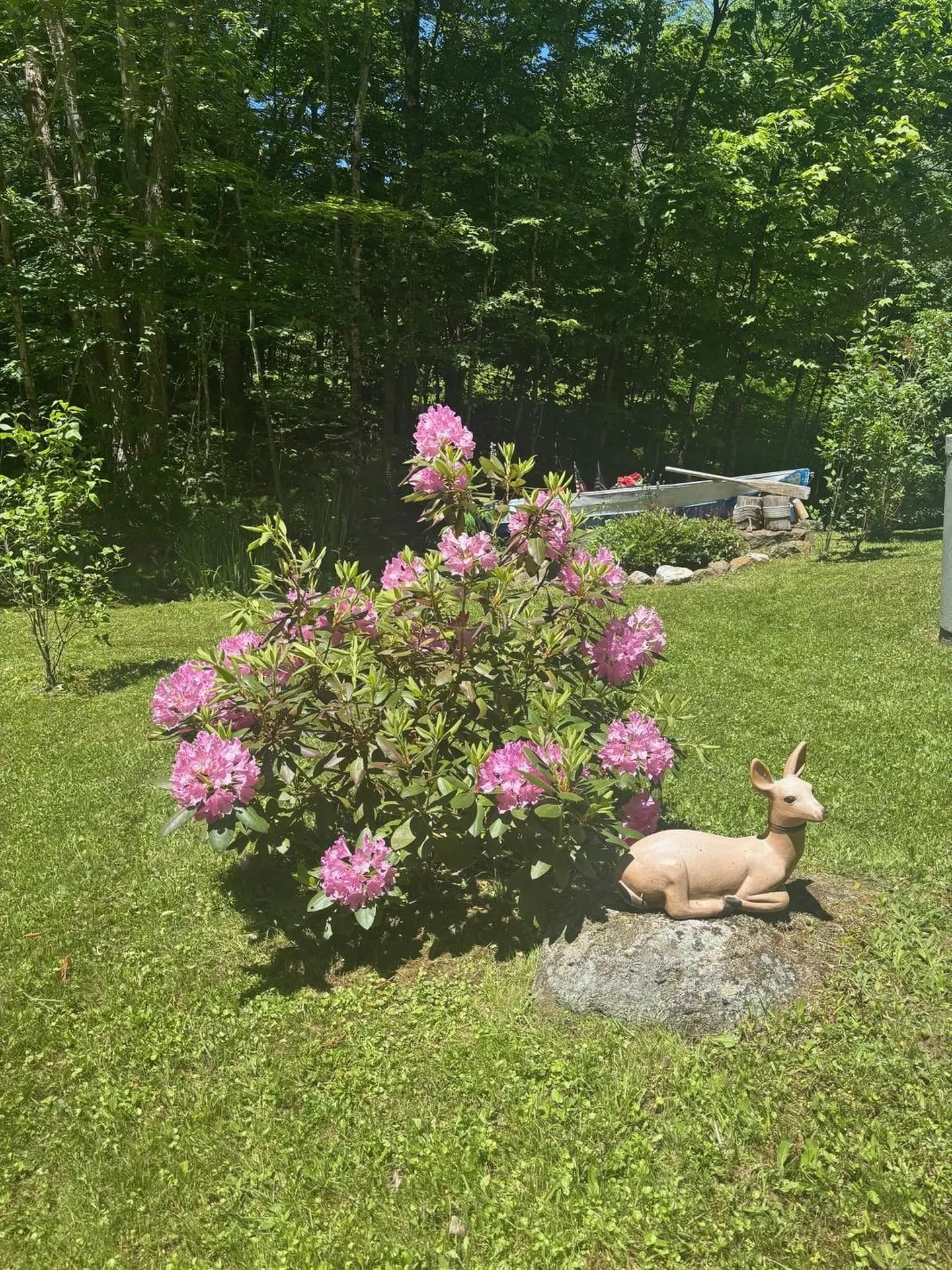 530 Marlow Road Washington NH 03280