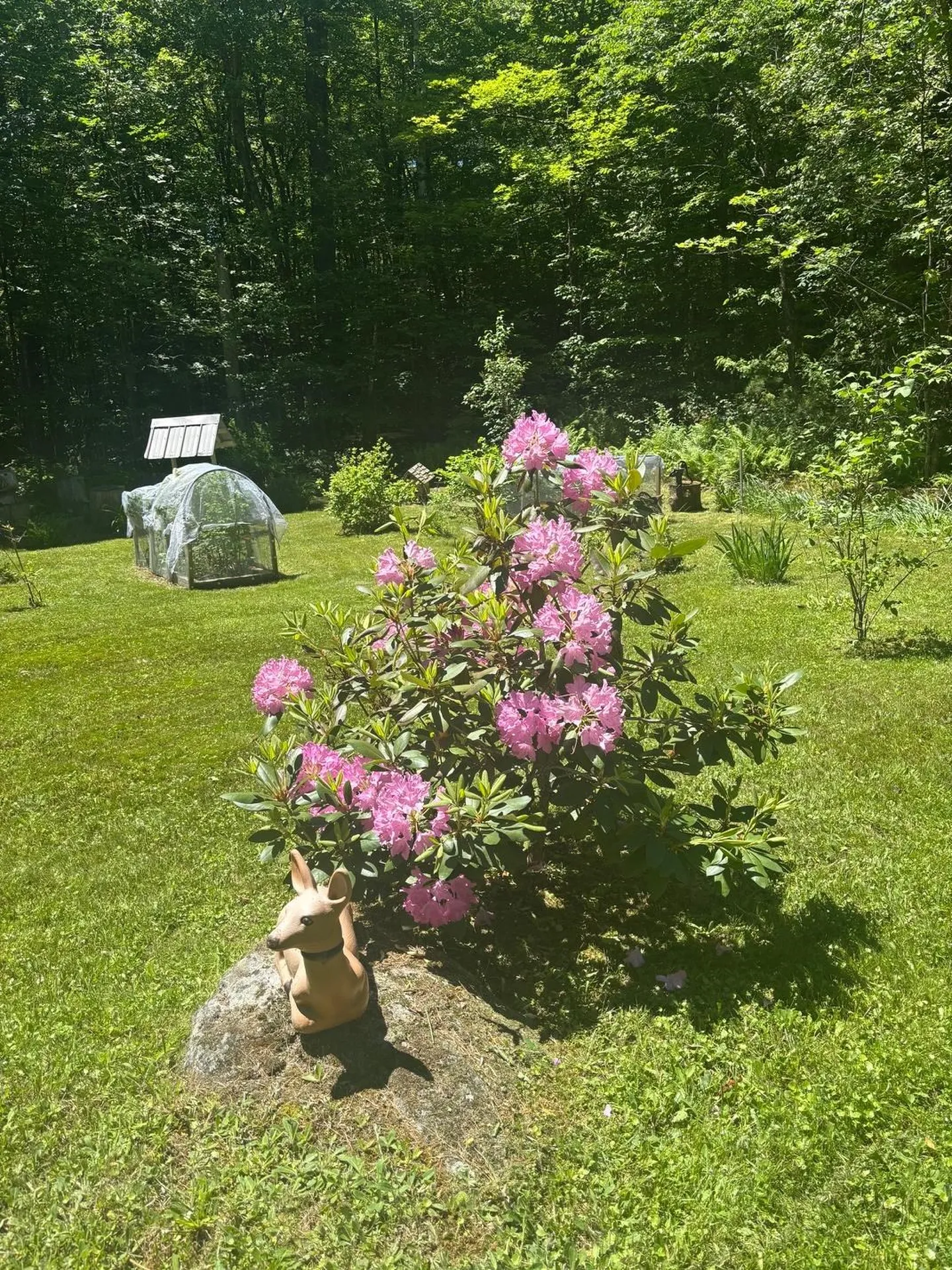 530 Marlow Road Washington NH 03280