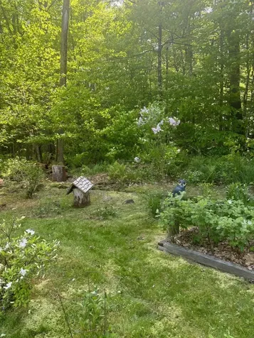 530 Marlow Road Washington NH 03280